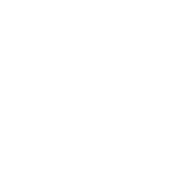Hotel star icon