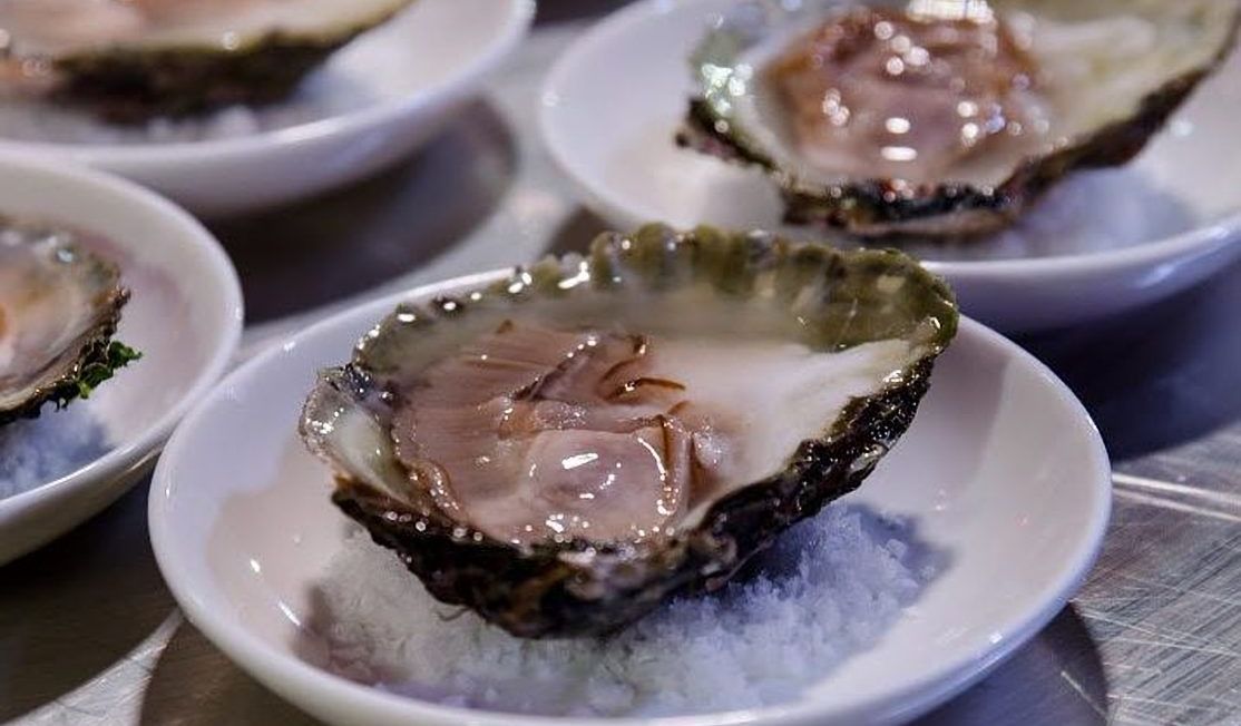 Oysters ready to eat