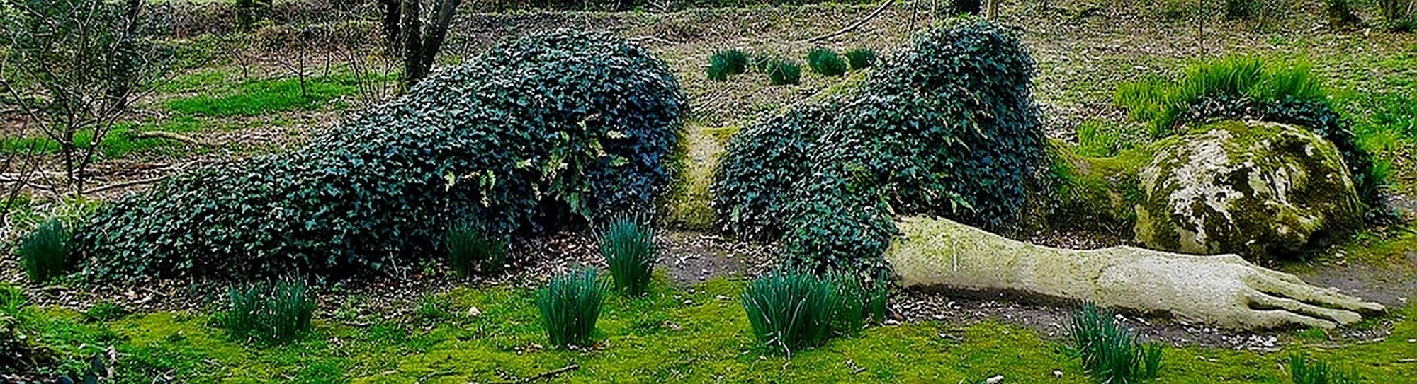 Lost Gardens of Heligan sleeping giant