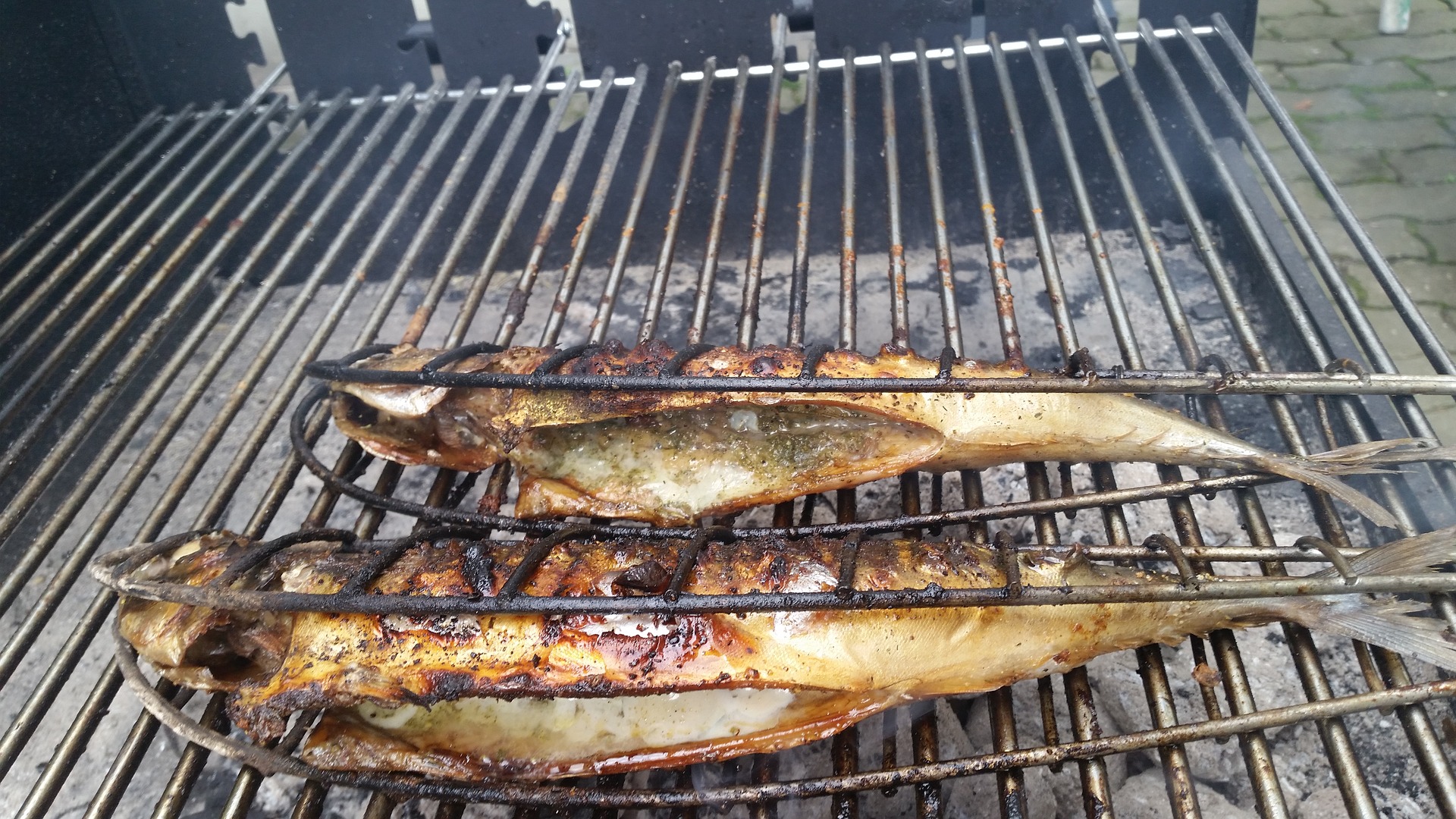 mackerel on a bbq