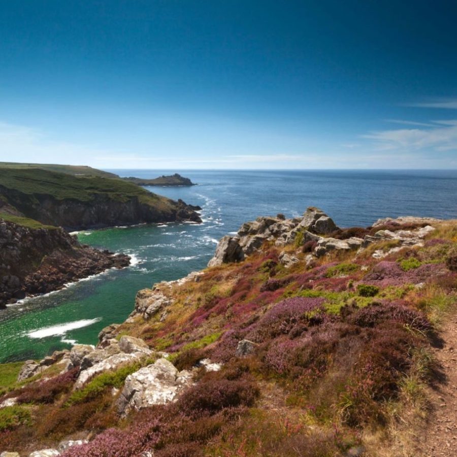 Zennor Head in Summer